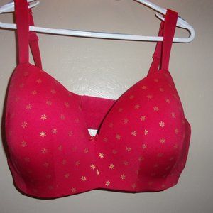 Lane Bryant Complete Cover Bra 41/42DDD Nice